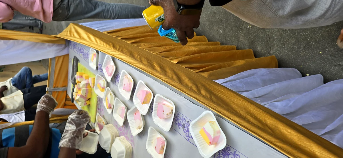 Ice Cream Slice Tricolor Served