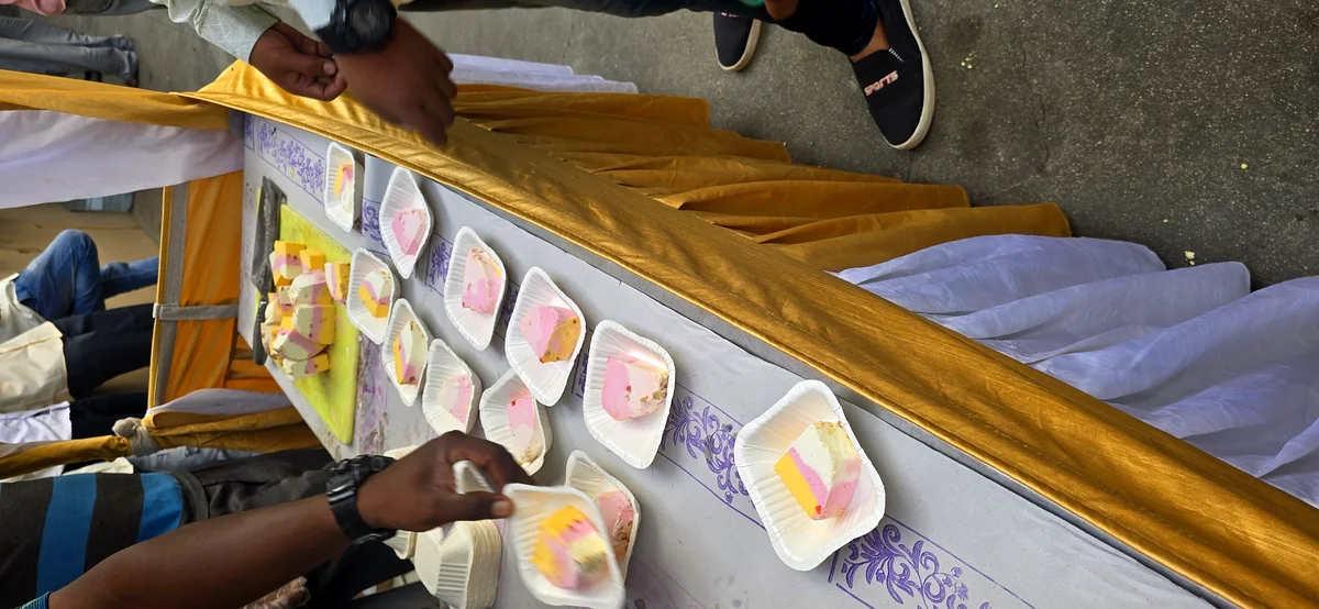 Ice Cream Slice Tricolor Served