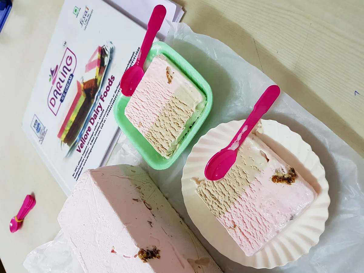 Premium ice cream varieties