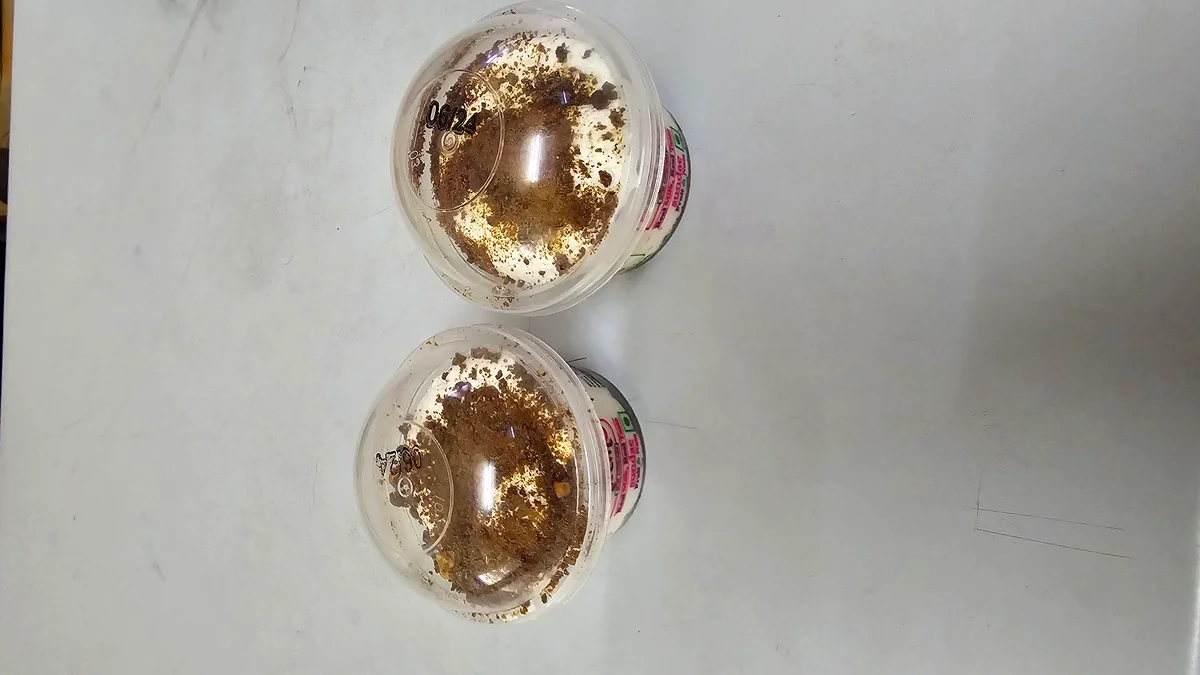 Personal Sundae